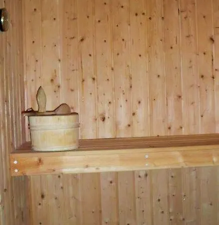 Wildgans 206 * Mirow